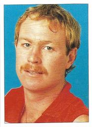 1990 Select AFL Stickers #233 Michael Parsons Front